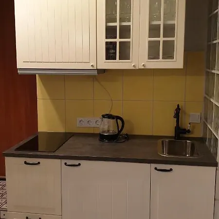 Kauno Street Apartment