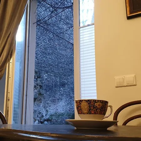 Апартаменты Kauno Street Вильнюс