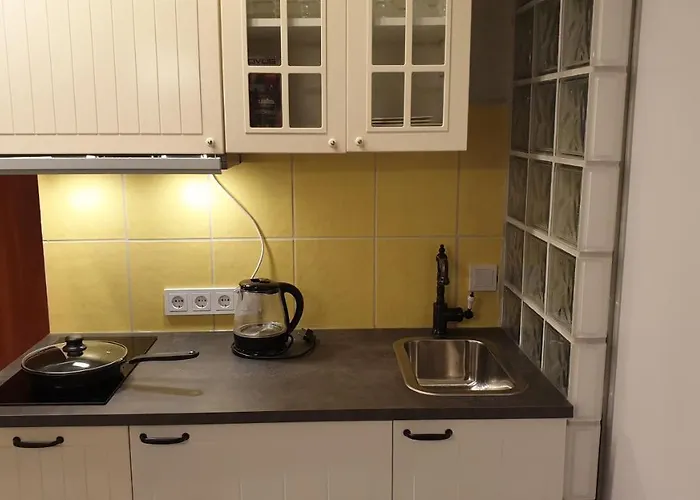 Kauno Street * فيلنيوس