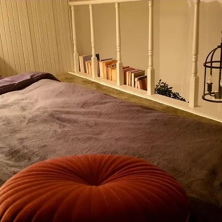 Kauno Street Apartment *