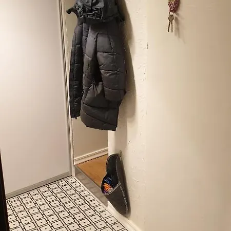 Kauno Street Apartment *